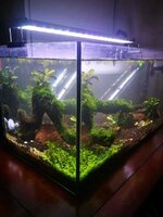 WhatsApp Image 2022-01-26 at 21.27.16 (1).jpeg