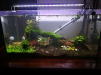 WhatsApp Image 2022-01-26 at 21.27.16.jpeg