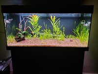 IMG20220130225856.jpg