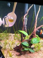 IMG20220130224727.jpg