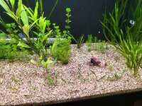 IMG20220130224816.jpg