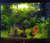 aquarium-midasse.jpg