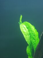20220206_191638.jpg