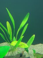 20220206_191658.jpg