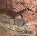 8E2849FE-1367-4E4D-9B2E-75D8A3A8D53E (2).jpeg