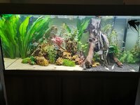 IMG_20220221_201108.jpg