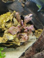 IMG_20220221_201254.jpg