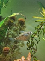 IMG_20220221_201225.jpg