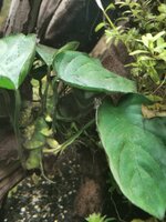 IMG_20220221_201215.jpg
