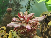 IMG_20220221_201151.jpg