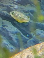 20220217_213538.jpg 20220217_213538.jpg