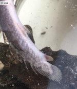 Screenshot 2022-03-13 at 14.09.55.png