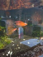 WhatsApp Image 2022-03-15 at 09.58.19.jpeg