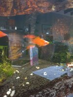 WhatsApp Image 2022-03-15 at 09.58.07.jpeg