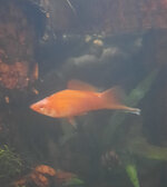 WhatsApp Image 2022-03-14 at 20.27.55.jpeg