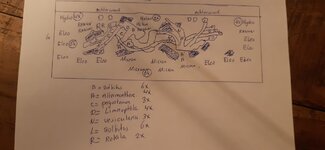 tekening scae.jpg