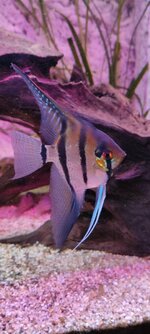 IMG_20220222_180955.jpg