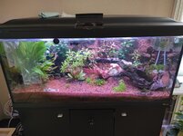 Foto eigen aquarium.jpg