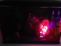 IMG-20220512-WA0003.jpg