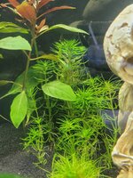 20220605_100141.jpg