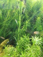 IMG_20220728_120021.jpg