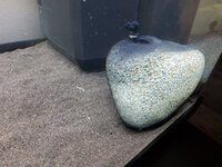 20220806_173553.jpg