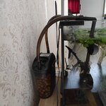 IMG_20220808_110430.jpg