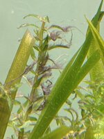 PXL_20220809_153257978.jpg
