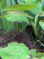 PXL_20220809_153245714.jpg