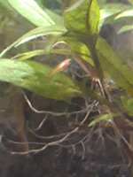 20220827_125148.jpg