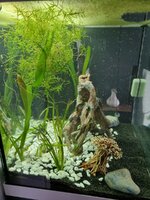 083ad018-f366-48a3-b441-0bdba77c3aa0.jpg