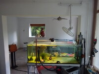 DSC03646.JPG