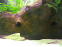IMG_2603.JPG
