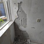 IMG_20220908_094425.jpg