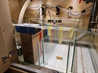 20220916_181113.jpg