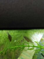 WhatsApp Image 2022-09-19 at 15.51.49 (1).jpeg