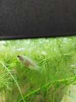 WhatsApp Image 2022-09-19 at 15.51.48.jpeg