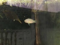 WhatsApp Image 2022-09-19 at 15.28.35 (1).jpeg