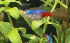 Screenshot_20221005-141033_Samsung Internet.jpg