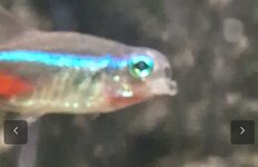 Screenshot_20221005-140800_Samsung Internet.jpg