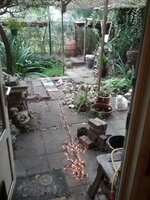 1665157710580665622958.jpg 1665157710580665622958.jpg