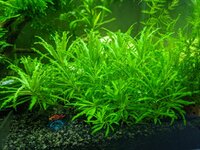 PXL_20221015_063625665.jpg