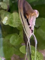 IMG_1180.JPEG