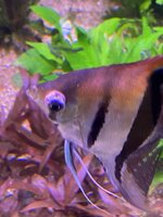IMG_1200.JPEG