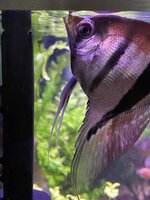 IMG_1272.JPEG