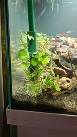 20221030_210906.jpg