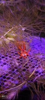 IMG_20221103_235404.jpg IMG_20221103_235404.jpg