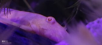 IMG_20221103_034451.jpg IMG_20221103_034451.jpg