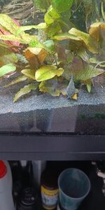 IMG-20221121-WA0020.jpeg