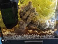 1669296371467631943015689508993.jpg 1669296371467631943015689508993.jpg